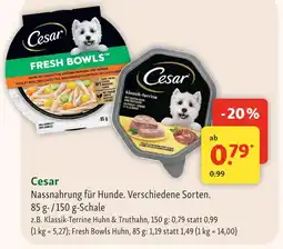 Fressnapf Cesar nassnahrung für hunde Angebot