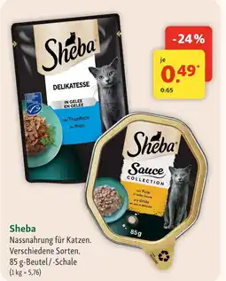 Fressnapf Sheba nassnahrung für katzen Angebot