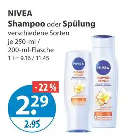 V Markt Nivea shampoo Angebot