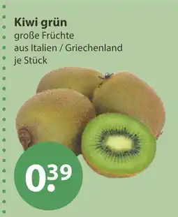 V Markt Kiwi grün Angebot