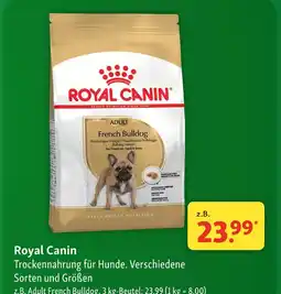 Fressnapf Royal canin adult french bulldog Angebot