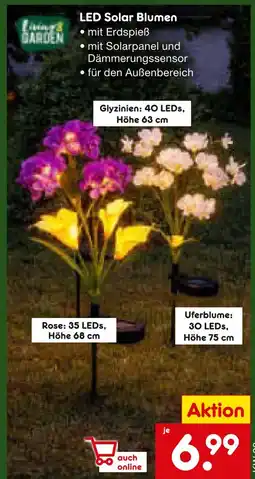 Netto Marken-Discount Led solar blumen glyzinien Angebot