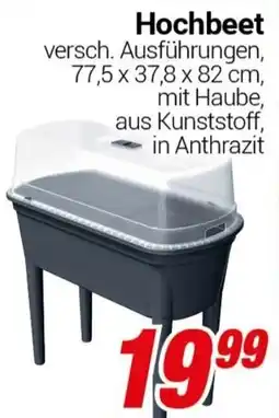 CENTERSHOP Hochbeet Angebot