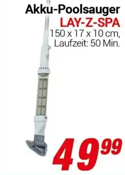 CENTERSHOP Akku-Poolsauger LAY-Z-SPA Angebot
