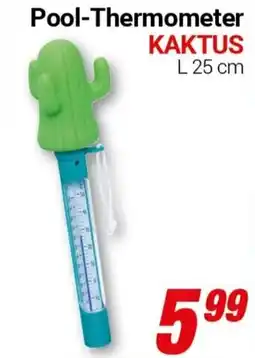 CENTERSHOP Pool-Thermometer KAKTUS Angebot