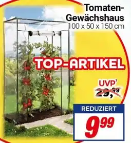 CENTERSHOP Tomaten Gewächshaus Angebot