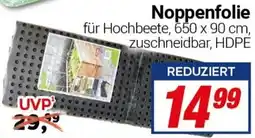 CENTERSHOP Noppenfolie Angebot