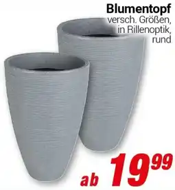 CENTERSHOP Blumentopf Angebot