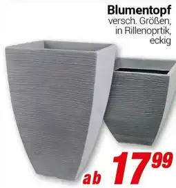 CENTERSHOP Blumentopf Angebot