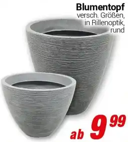 CENTERSHOP Blumentopf Angebot