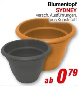 CENTERSHOP Blumentopf SYDNEY Angebot