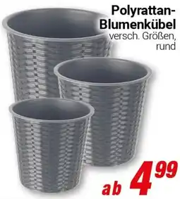CENTERSHOP Polyrattan Blumenkübel Angebot