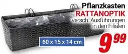 CENTERSHOP Pflanzkasten RATTANOPTIK Angebot