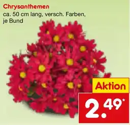 Netto Marken-Discount Chrysanthemen Angebot