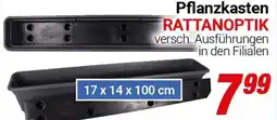 CENTERSHOP Pflanzkasten RATTANOPTIK Angebot