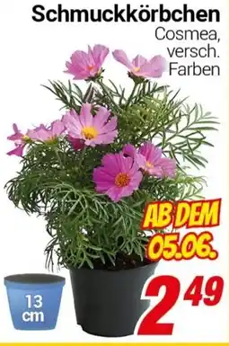CENTERSHOP Schmuckkörbchen Angebot