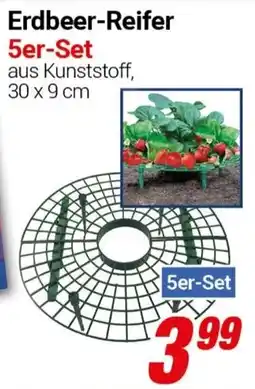 CENTERSHOP Erdbeer-Reifer Angebot