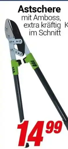 CENTERSHOP Astschere Angebot