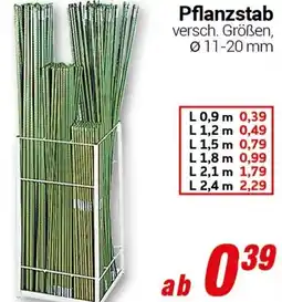 CENTERSHOP Pflanzstab Angebot