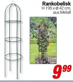 CENTERSHOP Rankobelisk Angebot