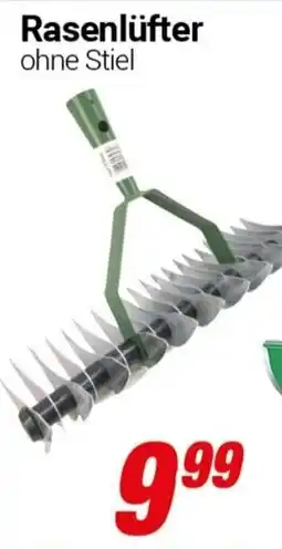 CENTERSHOP Rasenlüfter Angebot