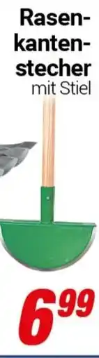 CENTERSHOP Rasen- Fugenreiniger kantenstecher Angebot