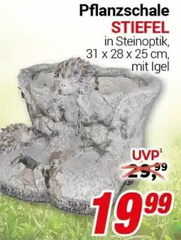 CENTERSHOP Pflanzschale STIEFEL Angebot