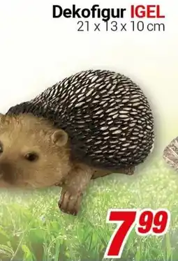 CENTERSHOP Dekofigur IGEL Angebot
