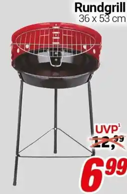 CENTERSHOP Rundgrill 36 x 53 cm Angebot