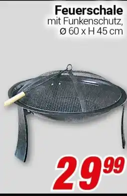 CENTERSHOP Feuerschale Angebot