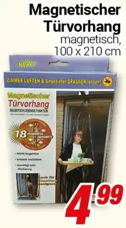 CENTERSHOP Magnetischer Magnetischer Türvorhang magnetisch, 100 x 210 cm Angebot