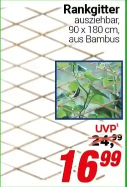 CENTERSHOP Rankgitter Angebot