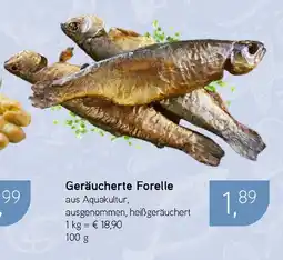 Dornseifer Geräucherte Forelle Angebot