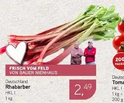 Dornseifer Rhabarber Angebot