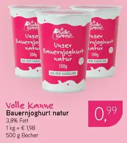 Dornseifer Volle kanne Bauernjoghurt natur Angebot