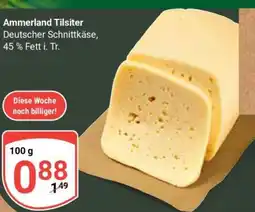 Globus Ammerland Tilsiter Angebot