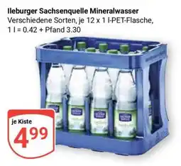 Globus Ileburger Sachsenquelle Mineralwasser Angebot