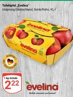 Globus Tafeläpfel 'Evelina' Angebot