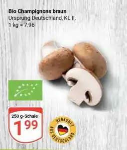 Globus Bio Champignons braun Angebot