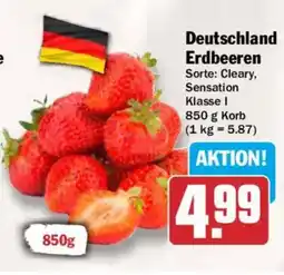 AEZ Deutschland Erdbeeren Angebot