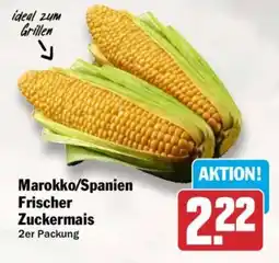 AEZ Marokko/Spanien Frischer Zuckermais Angebot