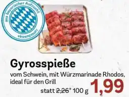 AEZ Gyrosspieße Angebot