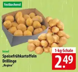 Famila Nord Ost Speisefrühkartoffeln Drillinge „Regina" Angebot