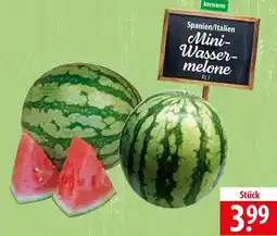 Famila Nord Ost Mini Wassermelone Angebot