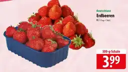 Famila Nord Ost Erdbeeren Angebot