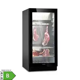 Netto Marken-Discount Steakhouse Pro 233 Onyx Fleischreifeschrank 1 Zone 233 L 1-25°C Touch Panorama Schwarz Angebot