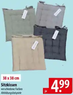 Famila Nord Ost Sitzkissen Angebot