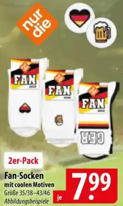 Famila Nord Ost Fan-Socken mit coolen Motiven Angebot