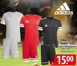 Famila Nord Ost adidas Trikot oder Shorts Angebot