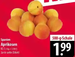 Famila Nord Ost Aprikosen Angebot